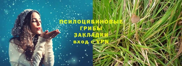 дурь Нязепетровск