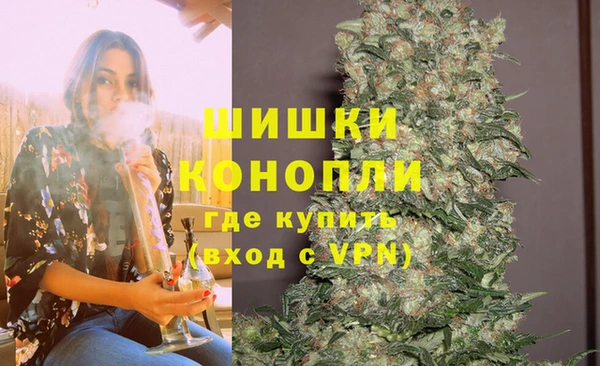 бошки Осинники
