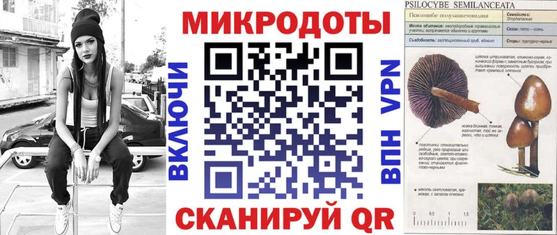 Галлюциногенные грибы MAGIC MUSHROOMS  Купить закладки  Кизилюрт 